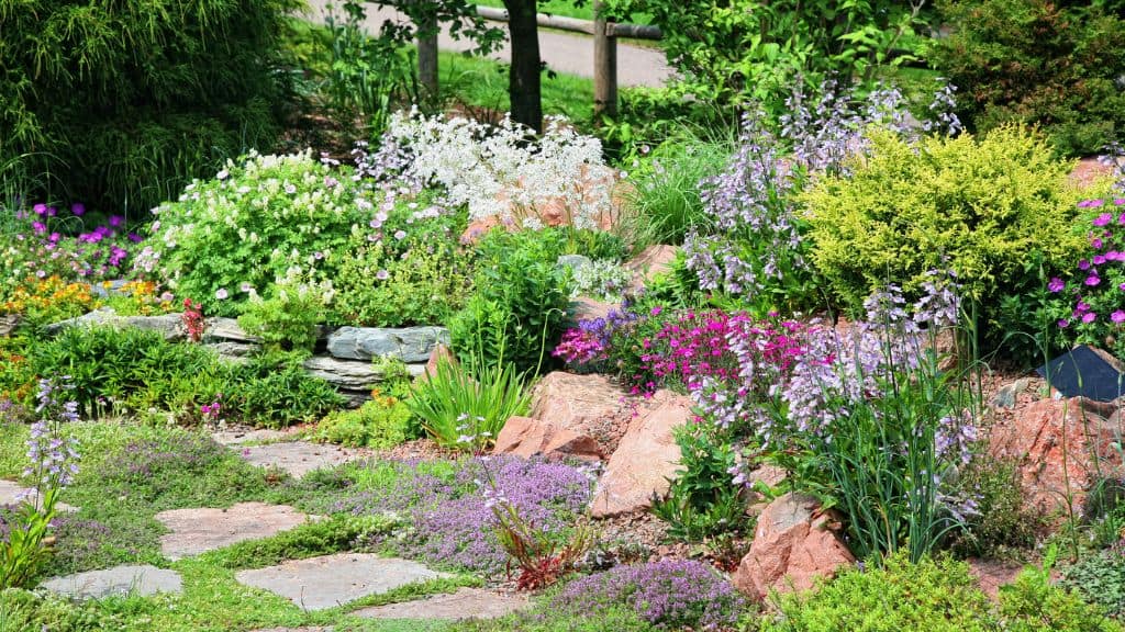 Alpine Low Maintenance Rock Gardens