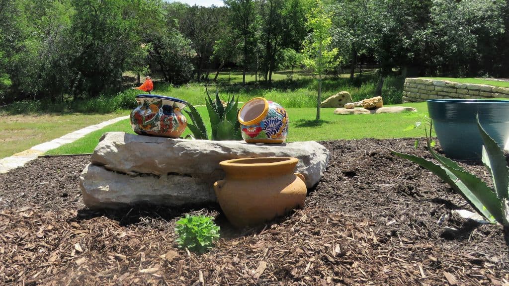 desert-themed low maintenance rock garden