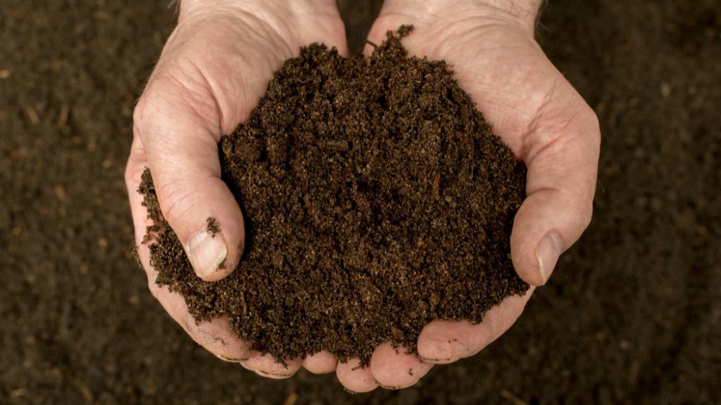 Compost