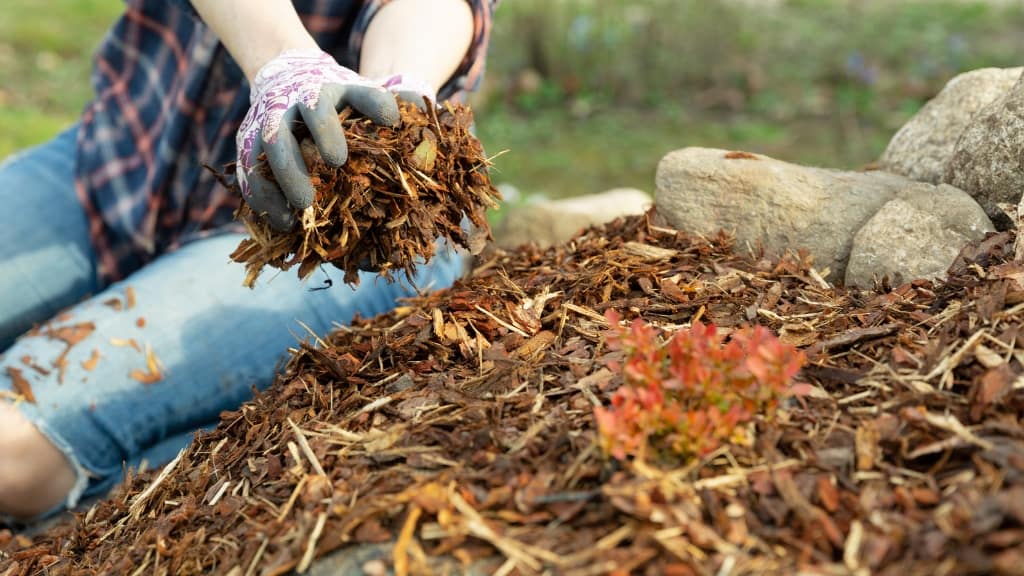  Mulch