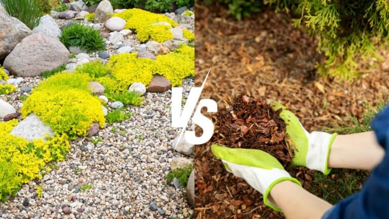Mulch vs Rock: Which Should You Use? - Greeny Thumbs