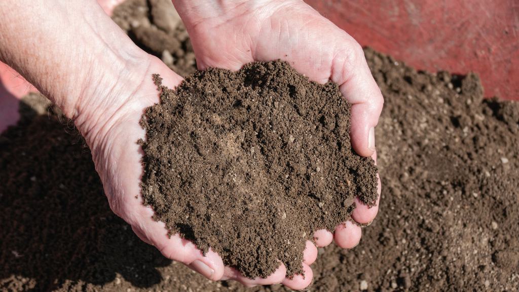 Topsoil
